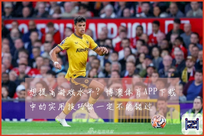 想提高游戏水平？博澳体育APP下载中的实用技巧你一定不能错过