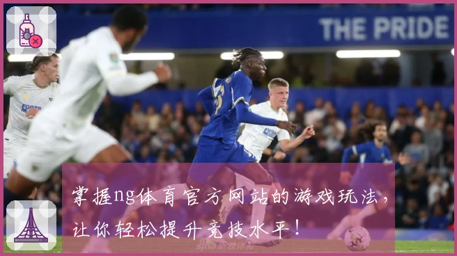 掌握ng体育官方网站的游戏玩法，让你轻松提升竞技水平！