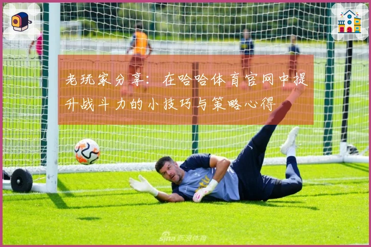 老玩家分享：在哈哈体育官网中提升战斗力的小技巧与策略心得